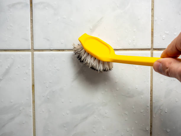 Best Emergency Mold Removal  in Oak Grove, OR