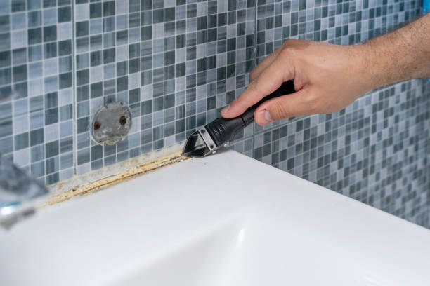 Best Mold Remediation  in Oak Grove, OR