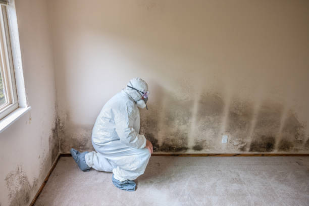 Crawl Space Mold Removal in Oak Grove, OR